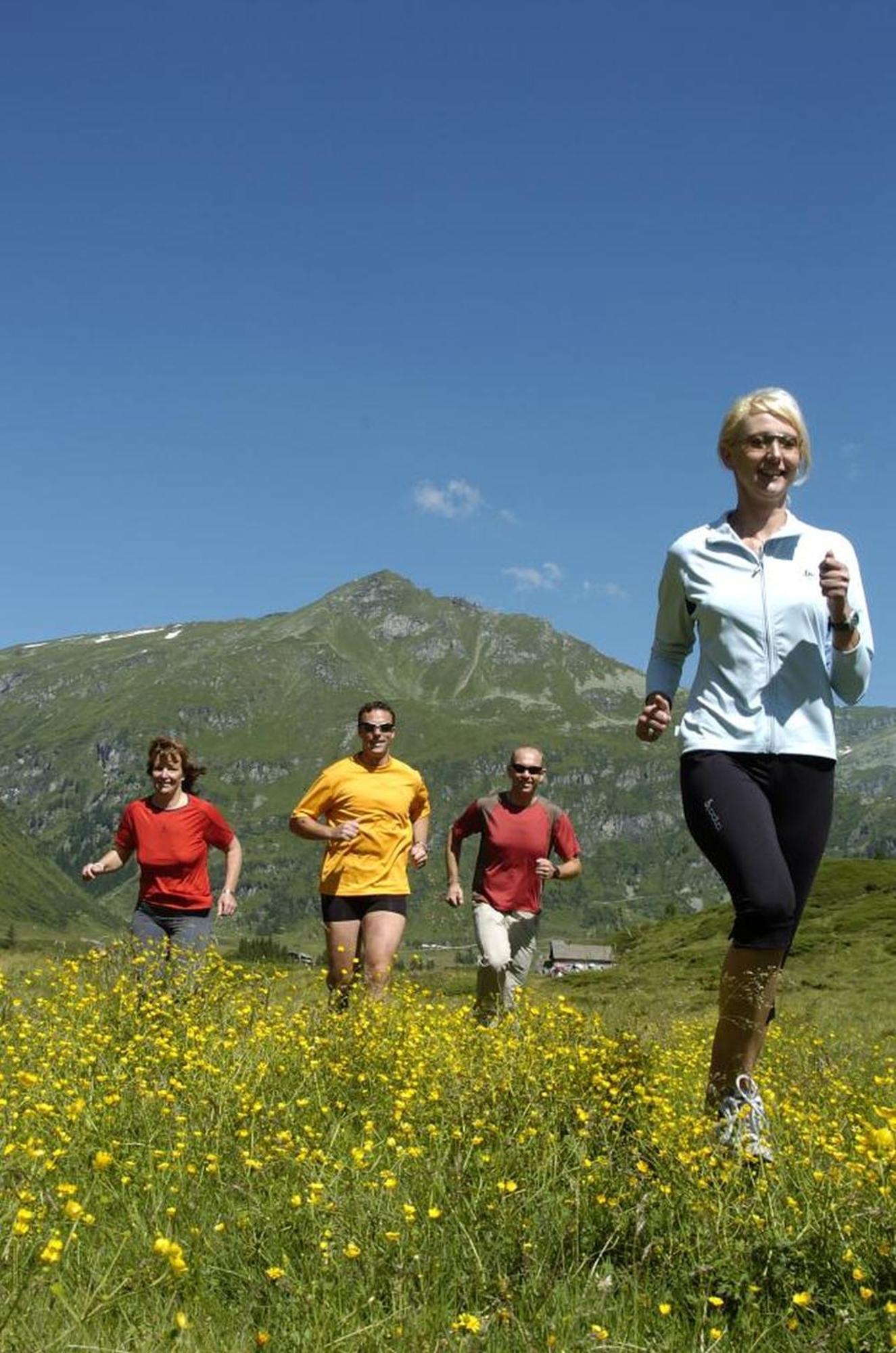 Ferienhaus Schiwiese Mit Freiem Eintritt In Die Alpentherme & Freie Nutzung Der Gasteiner Bergbahnen Im Sommer 2025 Бад-Гофгаштайн Екстер'єр фото